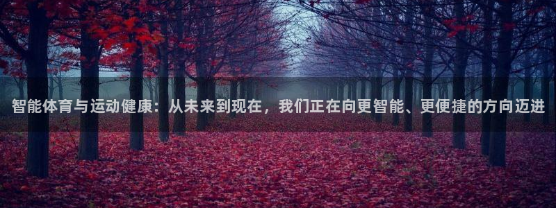yy易游官方正版app集团logo：智能体育与运动健