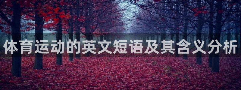 yy易游官网下载平台是正规平台吗：体育运动的英文短语
