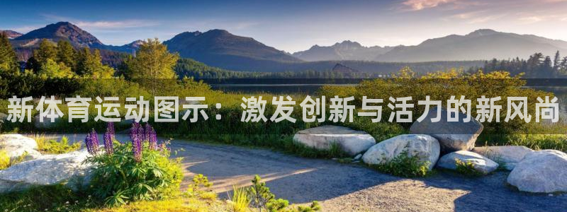 yy易游官方正版app开户：新体育运动图示：激发创新