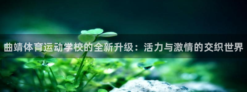 yy易游官网下载招商电话是多少啊：曲靖体育运动学校的