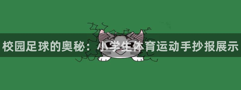 yy易游官方正版app新能源：校园足球的奥秘：小学生
