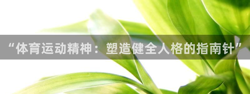 yy易游官方正版app娱乐：“体育运动精神：塑造健全