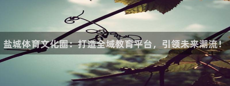 yy易游官网下载平台注册要钱吗安全吗：盐城体育文化圈