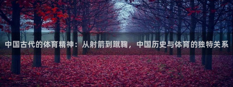 yy易游官网下载平台注册流程图：中国古代的体育精神：从射箭到