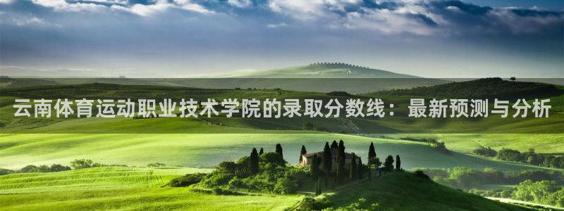 yy易游官方正版app官方：云南体育运动职业技术学院的录取分