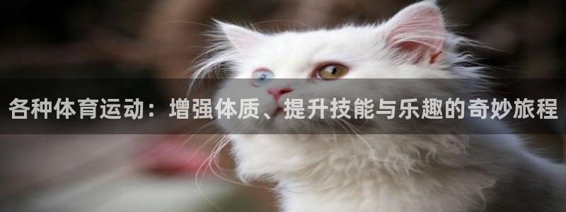 yy易游官网下载平台是正规平台吗：各种体育运动：增强体质、提