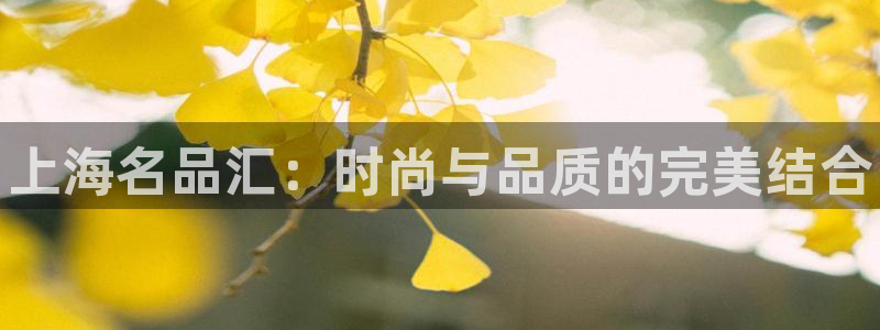 yy易游官网下载联系电话：上海名品汇：时尚与品质的完美结合