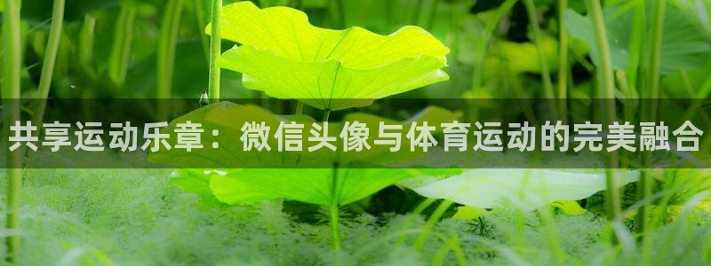 yy易游官方正版app娱乐网站：共享运动乐章：微信头像与体育