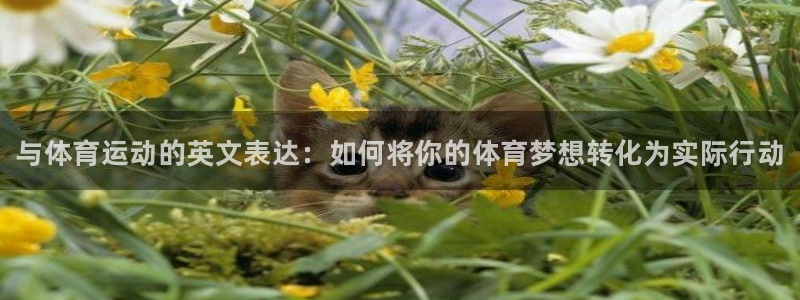 yy易游官方正版app集团E.ON：与体育运动的英文表达：如