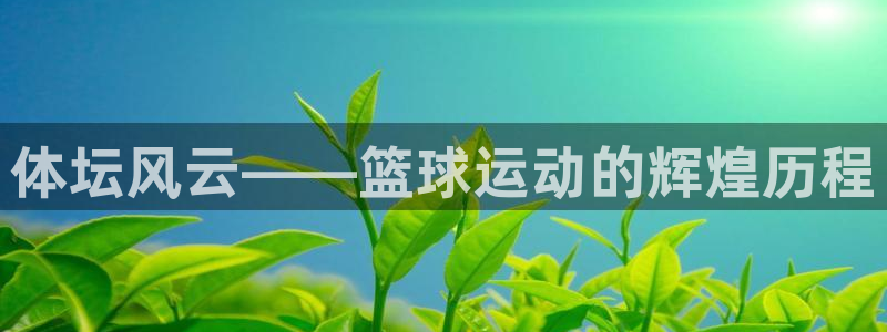 yy易游官网下载招商电话号码