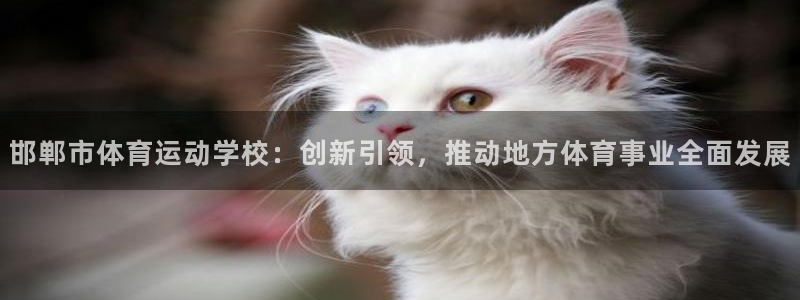 yy易游官网下载平台