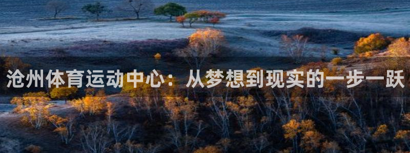yy易游官方正版app代理：沧州体育运动中心：从梦想