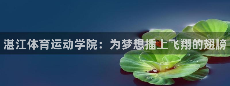 yy易游官方正版app五金厂