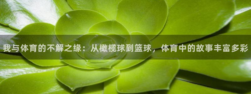 yy易游官方正版app集团logo：我与体育的不解之缘：从橄