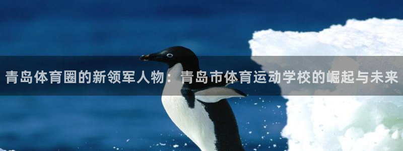 yy易游官方正版app官方