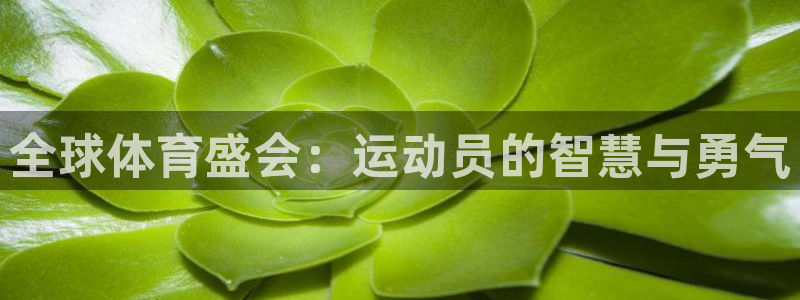 yy易游官方正版app娱乐首页网站大全：全球体育盛会：运动员
