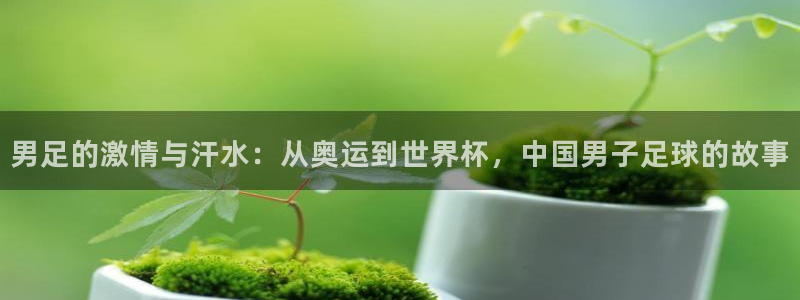 yy易游官方正版app集团官网首页网址：男足的激情与汗水：从