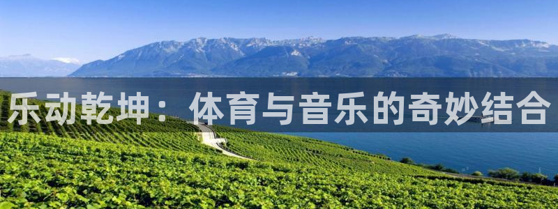 德国yy易游官方正版app集团