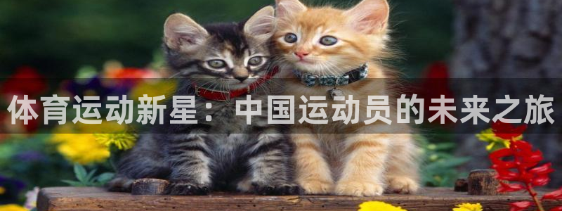 yy易游官方正版app娱乐下载
