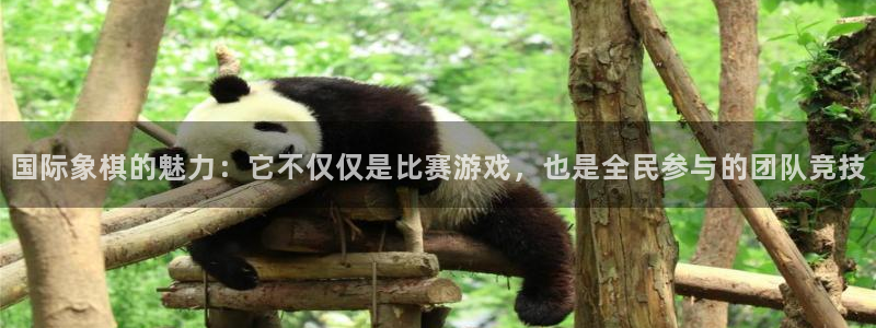 德国yy易游官方正版app集团