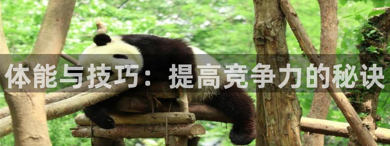 yy易游官网下载招商电话是多少