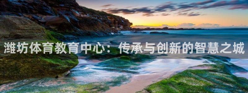 yy易游官方正版app代理：潍坊体育教育中心：传承与创新的智