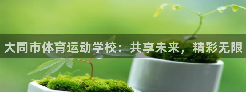 yy易游官网下载招商电话号码查询：大同市体育运动学校：共享未