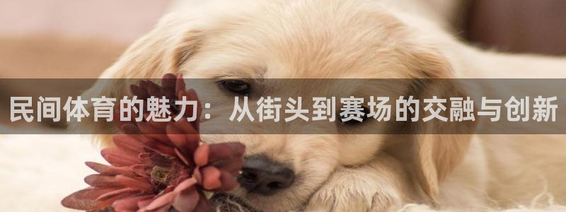 yy易游体育贴吧最新消息：民间体育的魅力：从街头到赛场的交融