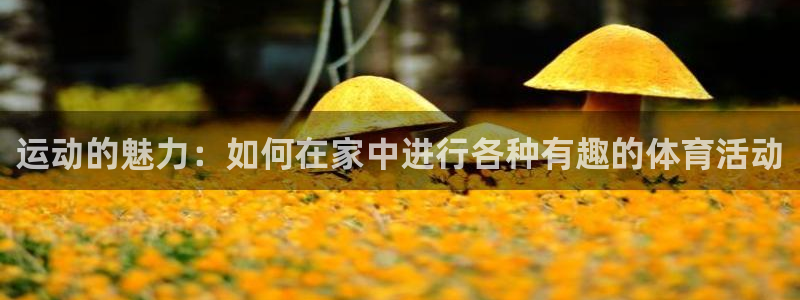 yy易游体育怎么样：运动的魅力：如何在家中进行各种有趣的体育