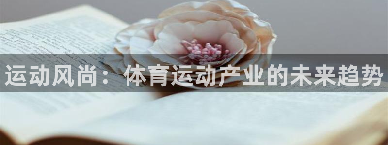  yy易游体育是正规的吗安全吗可靠吗：运动风尚：体育运动产业的