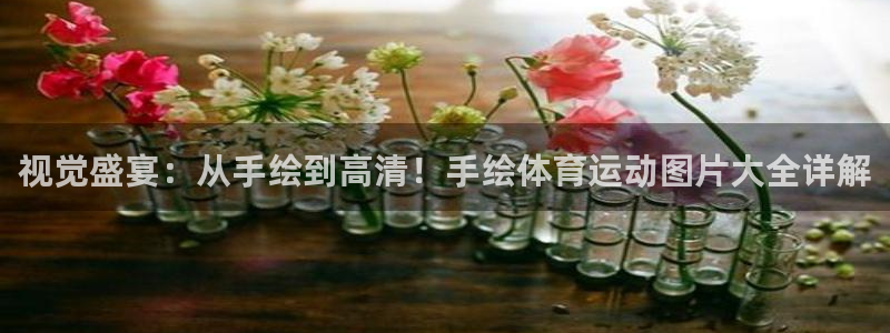 yy易游体育是什么：视觉盛宴：从手绘到高清！手绘体育运动图片