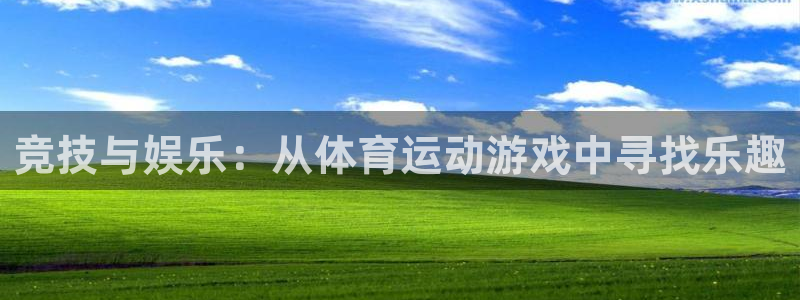 yy易游体育平台能提现吗是真的吗：竞技与娱乐：从体育运动游戏