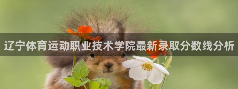  yy易游体育米乐：辽宁体育运动职业技术学院最新录取分数线分析