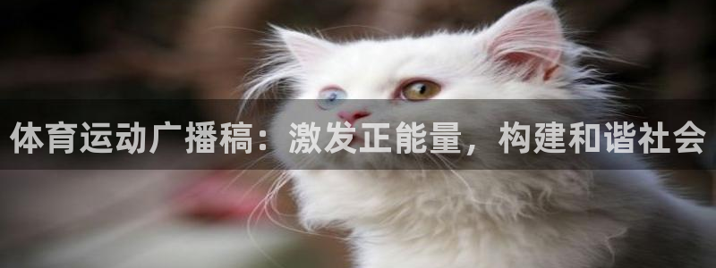  yy易游体育是正规的吗安全吗可靠吗：体育运动广播稿：激发正能