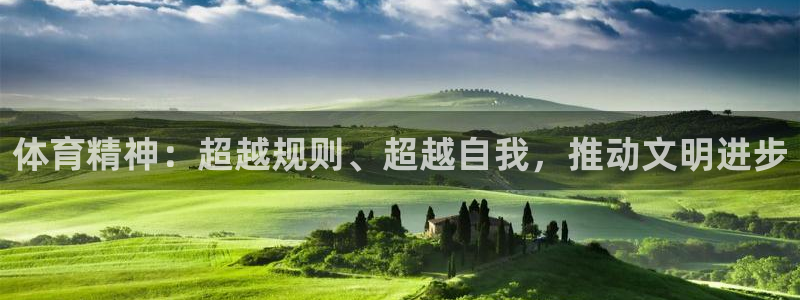 yy易游体育电竞登录不上去了：体育精神：超越规则、超越自我，