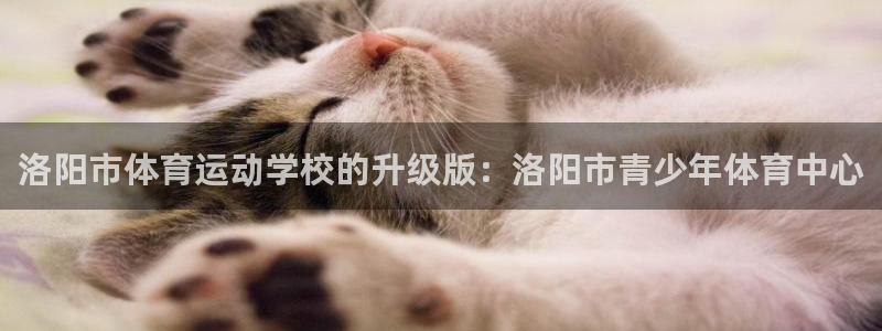  yy易游体育还能撑几年：洛阳市体育运动学校的升级版：洛阳市青