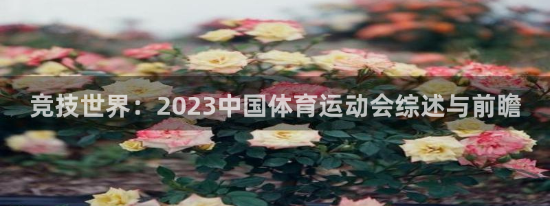 YY易游体育app最新版本更新内容：