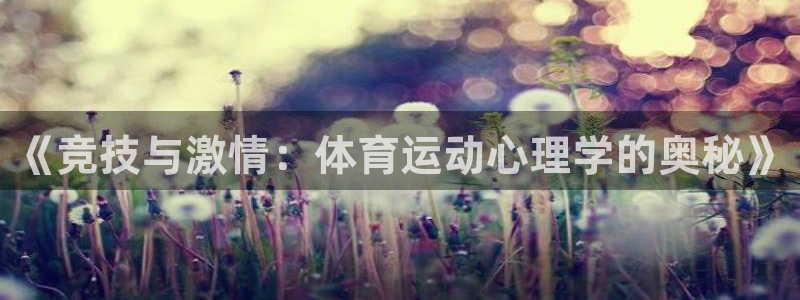 yy易游体育是正规的吗安全吗